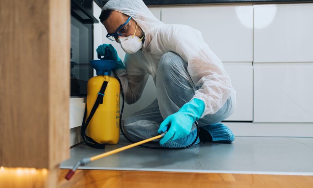 Residential Pest Control Service in Kerala: Complete Guide